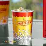 تولیدات لیوان و ظروف کاغذی