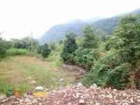 زمین۸۲۰متری/داخل بافت مسکونی