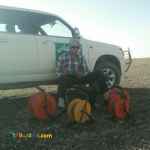 تعیین محل چاه آب ( ژئوفیزیک)