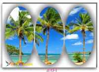 تابلو های تزئینی دیواری ازمناظر زیبای طبیعت