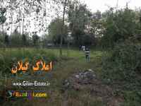 فروش زمین 4000 متری سنددار لاهیجان