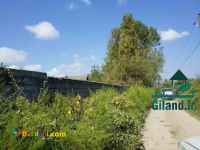 فروش زمین 3000 متری بر دوم جاده چمخاله