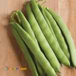 فروش عمده لوبیاسبز تازه