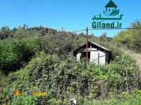 فروش زمین باغ کشاورزی 10000 متری اطاقور 