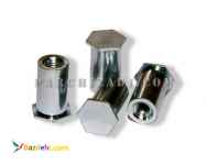 پخش میخ پرچ