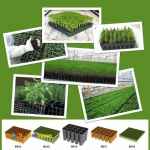 گلدانهای پلاستیکی کشاورزی ، باغی ، تزیینی ، ژله ای