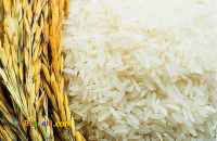 فروش برنج ایرانی در ساوه