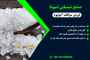 تولید کننده و فروشنده سولفات امونیوم 