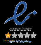 کار مجازی،شغل اینترنتی ،کار در منزل