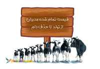 نرم افزار قیمت تمام شده (گاوشیری / دام سبک)