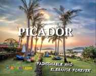 آلبوم کاغذ دیواری پیکادور PICADOR