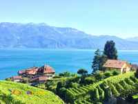 لوزان - سوئیس