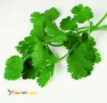 سبزی پاکشده و شسته شده 