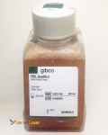 سرم جنین گاوی Fetal Bovin Serum
