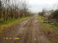 فروش زمین 10000 متری در چمخاله