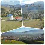 گروه_املاک_نیما