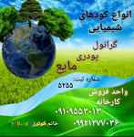 تقویت و تغذیه گیاه