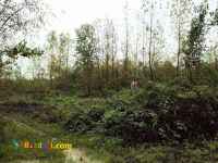 فروش زمین 22 هکتاری مسطح در آستانه