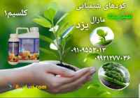 کود کلسیم۱(روت نید)