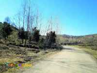 فروش زمین 9 هزار متر جنگلی اطاقور