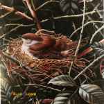 آموزشگاه نقاشی در سعادت آباد