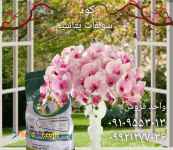 کود سولفات پتاسیم