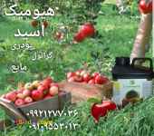 کود هیومیک اسید