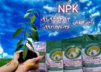 کود پودری ان پی کا