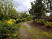 فروش مجموعه ویلا باغ پرورش ماهی رودسر