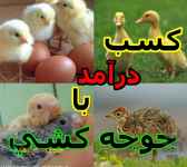 سورس کامل دستگاه جوجه کشی