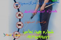 سمپاشی موریانه