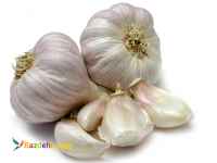 فروش سیر تند همدان