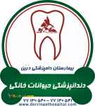 دندانپزشکی حیوانات خانگی بیمارستان دامپزشکی درین