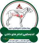 اندوسکوپی و اندامهای داخلی حیوانات خانگی بیمارستان دامپزشکی درین