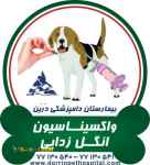 واکسیناسیون حیوانات و انگل زدایی حیوانات خانگی بیمارستان دامپزشکی شبانه روزی درین