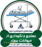 بستری و نگهداری حیوانات خانگی بیمارستان دامپزشکی درین 