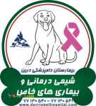 شیمی درمانی حیوانات خانگی بیمارستان دامپزشکی شبانه روزی درین